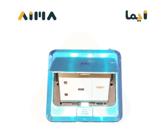 صورة فيش أرضي مفرد مع كمبيوتر