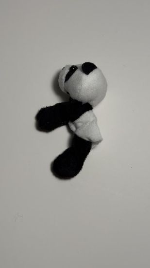 صورة باندا مغناطيسية صغيرة