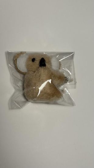 صورة كوالا مغناطيسية صغيرة