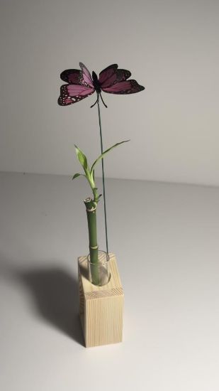 صورة بوكس البامبو