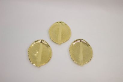 صورة صحن ورق شجر